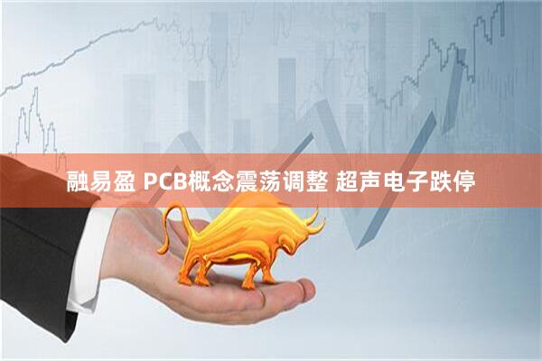 融易盈 PCB概念震荡调整 超声电子跌停