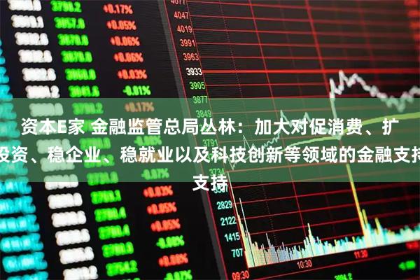 资本E家 金融监管总局丛林：加大对促消费、扩投资、稳企业、稳就业以及科技创新等领域的金融支持