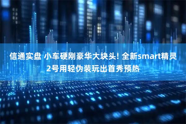 信通实盘 小车硬刚豪华大块头! 全新smart精灵2号用轻伪装玩出首秀预热