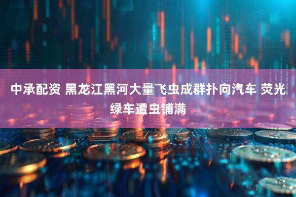 中承配资 黑龙江黑河大量飞虫成群扑向汽车 荧光绿车遭虫铺满